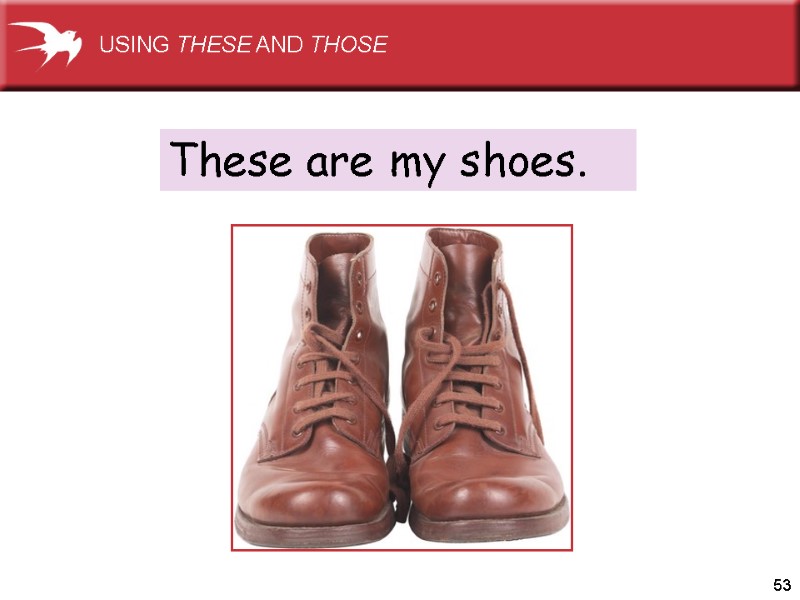 53 These are my shoes. USING THESE AND THOSE